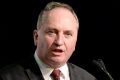 Deputy Prime Minister Barnaby Joyce says the Adani mine and rail project just needs to be built.