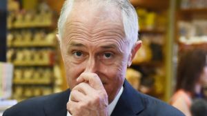 Prime minister Malcolm Turnbull at the Sydney Fish Markets on Wednesday.