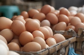 CHOICE says egg producers who falsely advertised as free range were fined between $50,000 and $300,000 although they ...