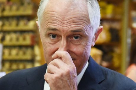 Prime minister Malcolm Turnbull at the Sydney Fish Markets on Wednesday.