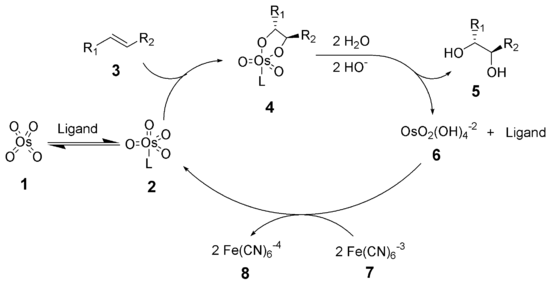 Sharpless Dihydroxylation Mechanism.png