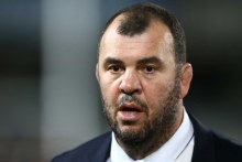 Losing season ... Michael Cheika