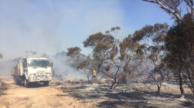 Firefighters are battling an out-of-control blaze in the vicinity of the Tommy Graham Cave.