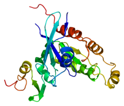 Protein PAK3 PDB 1e0a.png