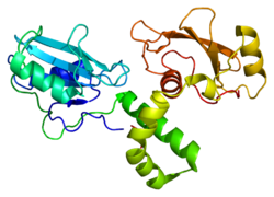 Protein ZAP70 PDB 1m61.png