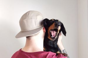 Canberra Times "Me and my pet" photocomp-Sancho Murphy / Chris Murphy ADDRESS: 200 Beasley Street, Farrer, ACT, 2607 ...