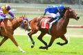 Targeting The Champoinships: Geelong Cup winner Qewy  