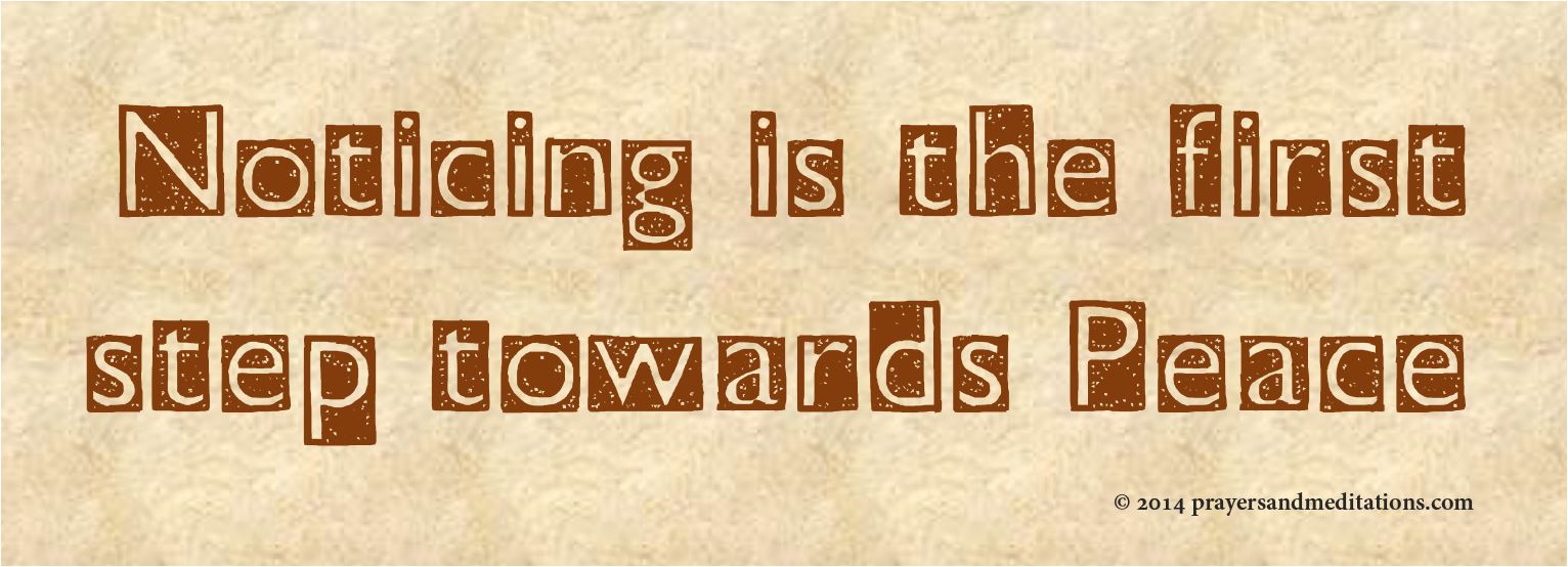 noticing-is-the-first-step-towards-peace