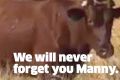 Manny has become the unlikely face of an international animal advocacy group.