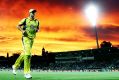 James Faulkner fields during a stunning sunset at Manuka Oval on Tuesday night.