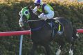 Jockey John Kissick with horse Hudson Country.