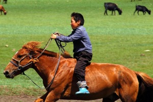 A shepherd tends his flock in Orkhon Valley, Ovorkhangai district, Mongolia.