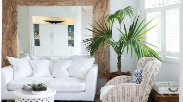 "Indoor plants add life to any room", says Richard Brunton.