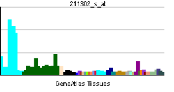 PBB GE PDE4B 211302 s at tn.png