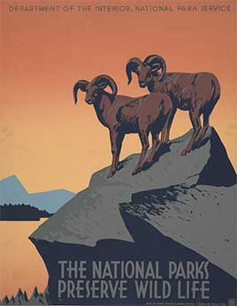 The national parks preserve wild life