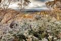 The light dusting of snow in Victoria. 