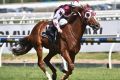 Stratum Star, pictured racing on Caulfield Cup day, has won the Kingston Town Classic.