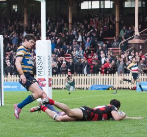 Heart of the game: Norths cross for a try against Sydney University in this year's Shute Shield decider.