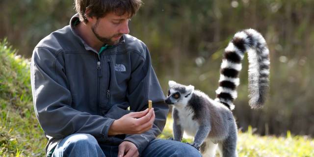 Lemur Island Cruise Experience