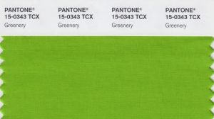 A swatch of greenery, the Pantone colour of 2017.