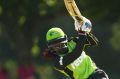 Star all-rounder: Stafanie Taylor of the Thunder on her way to an unbeaten 59 from 38 balls against the Sixers last summer.