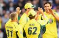 Happy days: Mitch Starc is congratulated by team mates after taking a wicket.