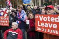 Pro-Brexit demonstrators protest outside the Houses of Parliament in London last month.