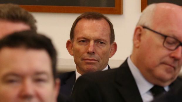 Face in the crowd: Tony Abbott listens to Prime Minister Malcolm Turnbull addressing the party room at Parliament House ...