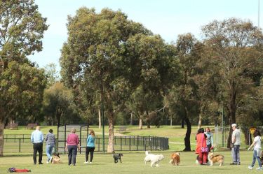 Buyers have woken up to the once sleeper suburb of Caulfield South