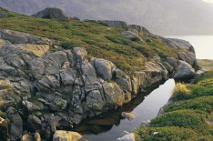 Snowy Mountains, NSW, river