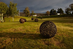 Drop in at the Wild Brumby Schnapps distillery.