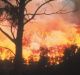 The bushfire in the Meredith State Forest blackened 16 hectares.