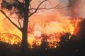 The bushfire in the Meredith State Forest blackened 16 hectares.