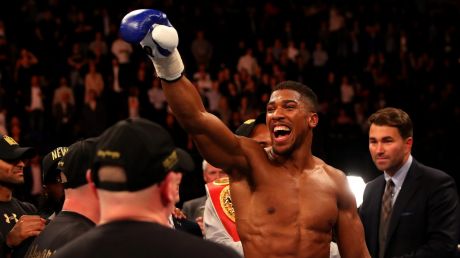 Anthony Joshua has beaten Eric Molina to set up a bout with veteran heavyweight Wladimir Klitschko.