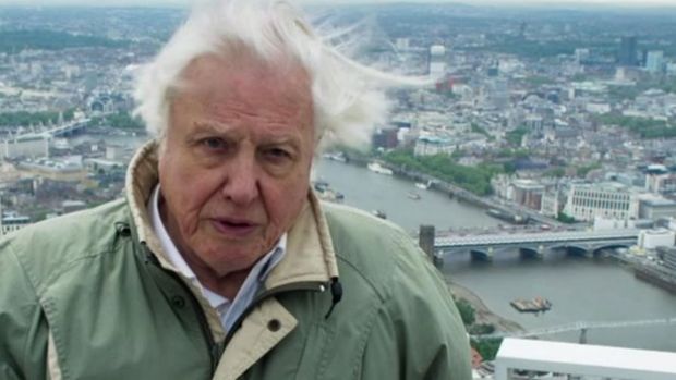 From London: David Attenborough in finale of Planet Earth II.