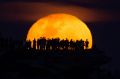 The moon rises in Bondi, Sydney, on November 15, a day after the official supermoon was obscured by clouds.