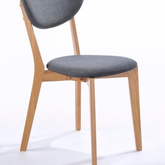 Modern Dining Chairs - Dining Chairs