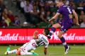 Glory captain Rostyn Griffiths says the team understands why their fans booed them.