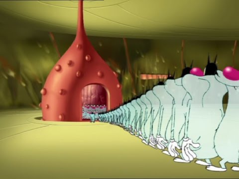 Oggy and the Cockroaches - Globulopolis (S01E33) Full Episode in HD