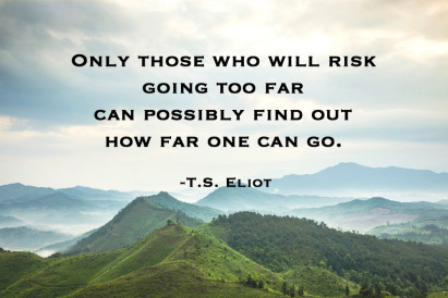 ts-elliot-risk-quote