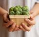 Choline, contained in foods including brussel sprouts, is important for good health, research says.