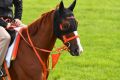 Trackwork: Tommy Berry riding Curren Mirotic. Japanese turnover on the Cup was $87 million.