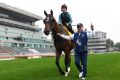 Better again: Trainer Gary Moore walks along side Takedown  during a trackwork session in Hong Kong.