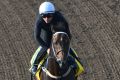 HONG KONG - DECEMBER 09: Ben Melham riding Rebel Dane during a trackwork session at Sha Tin Racecourse on December 9, ...