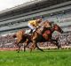 Ground view: Matthew Chadwick riding Winners Way wins race 3 at Sha Tin.