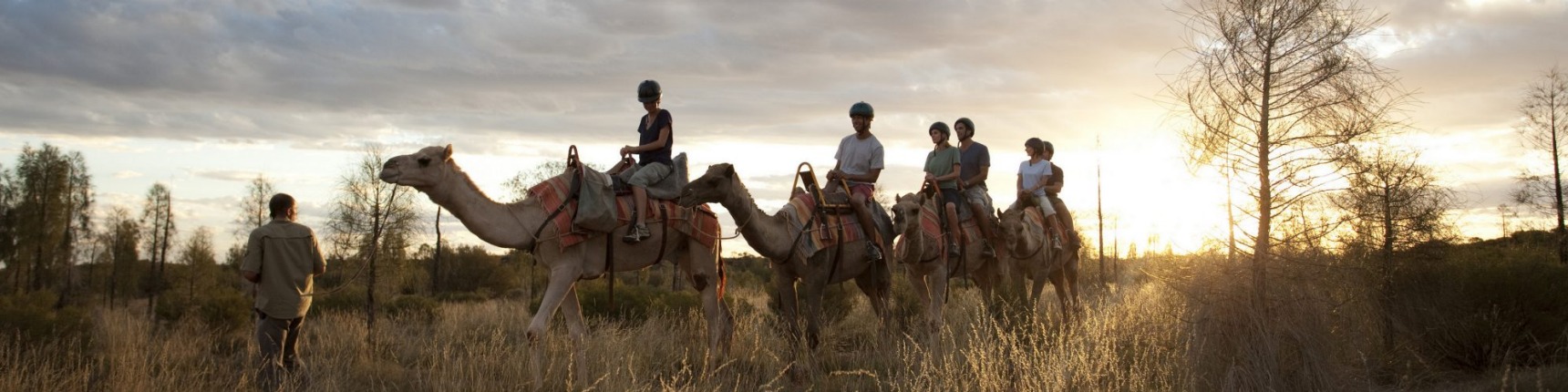 Uluru camel ride