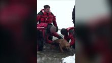 Dog rescued from icy pond