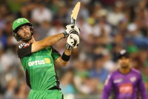 Max factor: Glenn Maxwell on the attack for the Stars.