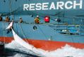 Japanese whalers handle a minke whale alongside a harpoon ship in the Antarctic