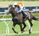 Overcoming the odds: Fabrizio being ridden by Josh Parr.